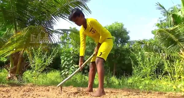 Mannargudi